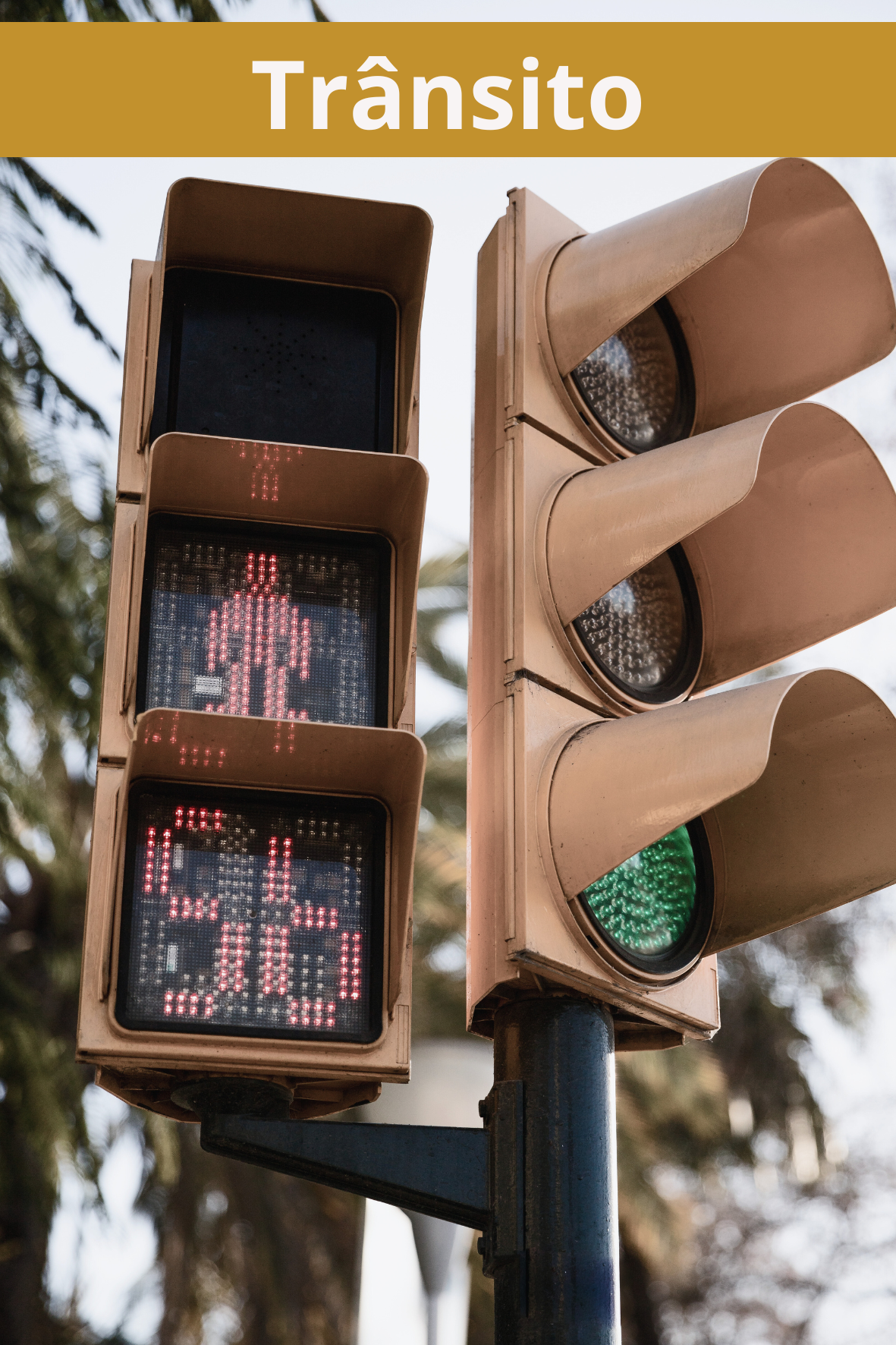 Transito Manzotti Martins Américo Brasiliense