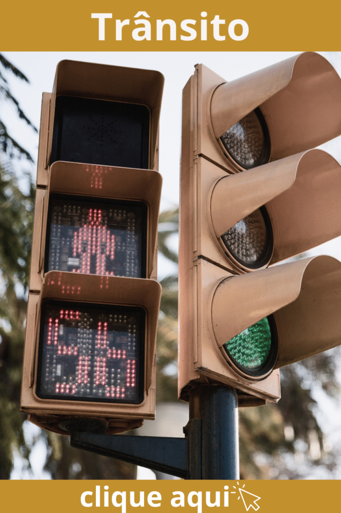 Trânsito Manzotti Martins Américo Brasiliense